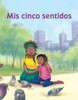 MIS Cinco Sentidos