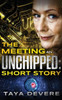 The Meeting an Unchipped Short Story