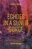 Echoes In A Sunlit Gorge : Poems of meeting