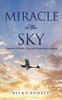 Miracle in the Sky : A Journey of Faith, Loss and Divine Intervention