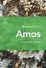 Journey Through Amos : 30 Biblical Insights by J.R. Hudberg