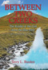 BETWEEN TWO CREEKS : The Riddle of the Girl from the Blue Mist My Second Summer