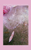 Tales Faeries Tell About Humans