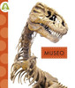 Museo