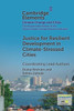 Justice for Resilient Development in Climate-Stressed Cities - (Paperback or Softback)