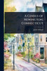 A Census of Newington, Connecticut - (Paperback or Softback)