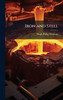 Iron and Steel - (Hardback or Cased Book)