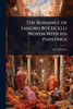The Romance of Sandro Botticelli Woven With his Paintings - (Paperback or Softback)