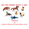 Do You Know What I Am?