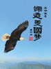 缔造美国梦: Create The American Dream