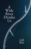 A Wide River Divides Us