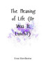 The Meaning of Life (Or Was It Lunch?) - (Paperback or Softback)