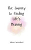 The Journey to Finding Life's Meaning - (Paperback or Softback)