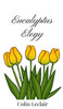 Eucalyptus Elegy - (Hardback or Cased Book)
