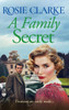 A Family Secret - (Hardback or Cased Book)