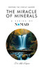 The Miracle of Minerals: Restore the Circuit Makers - (Paperback or Softback)