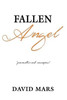 Fallen Angel - (Hardback or Cased Book)