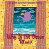 Why Is the Ocean Blue?: Book 2 of The VERY Important Question Series - (Paperback or Softback)