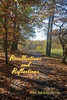 Recollections And Reflections