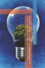 Renewable Energy Transition: Strategies for Sustainable Systems, Clean Energy Policy, and Global Solutions