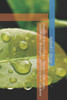 Tropical Water Security: Climate Challenges, Sustainable Strategies, and Ecosystem Solutions