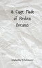 A Cage Made of Broken Dreams - (Paperback or Softback)