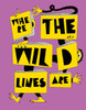 Where the Wild Lines Are