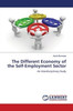 The Different Economy of the Self-Employment Sector