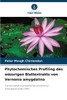 Phytochemisches Profiling des wässrigen Blattextrakts von Vernonia amygdalina