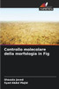 Controllo molecolare della morfologia in Fig