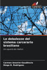 Le debolezze del sistema carcerario brasiliano