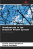 Weaknesses in the Brazilian Prison System