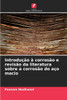 Introdução à corrosão e revisão da literatura sobre a corrosão do aço macio