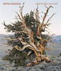 Mitch Epstein: American Nature