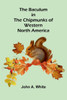 The Baculum in the Chipmunks of Western North America
