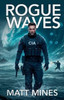 Rogue Waves