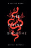 The China Sindrome