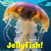 Wasil Science: Creation Creature Features Jellyfish!