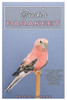 Bourke's Parakeet: Your Essential Guide to Raising Happy, Healthy, and Well-behaved Bourke's Parakeets
