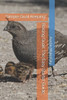 Raising Quail: The Easy Starter Guide: "Simple Quail Keeping"