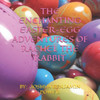 The Enchanting Easter-Egg Adventures of Rachel the Rabbit