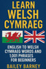 Learn Welsh Cymraeg: English to Welsh Cymraeg Words and 1,001 Phrases for Beginners