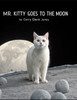Mr. Kitty Goes to the Moon