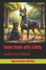 Vader Deals with a Bully: Vader and Friends