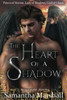 The Heart Of A Shadow (Merged Worlds)