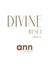 Divine Reset - Volume 6 - Ann Elizabeth