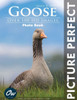 Goose: Picture Perfect Photo Book
