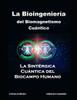 La Bioingeniería del Biomagnetismo Cuántico: La Teoría Sintérgica-Cuántica del Biocampo Humano
