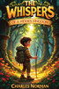 The Whispers of a Hidden Kingdom