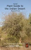 The Small Plant Guide To The Desert Plants